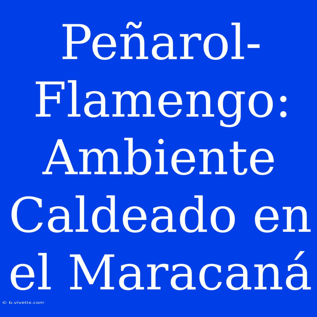 Peñarol-Flamengo: Ambiente Caldeado En El Maracaná