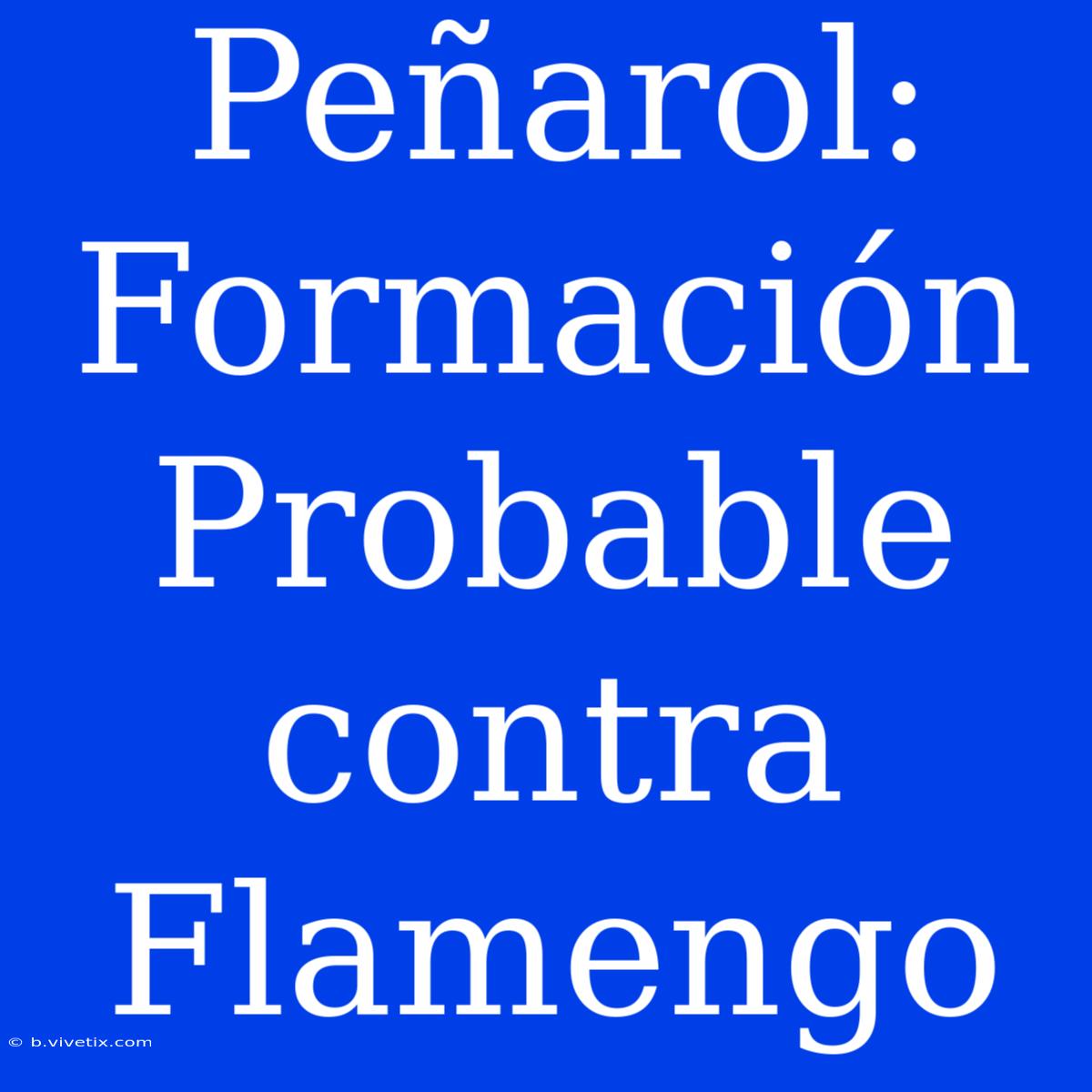 Peñarol: Formación Probable Contra Flamengo