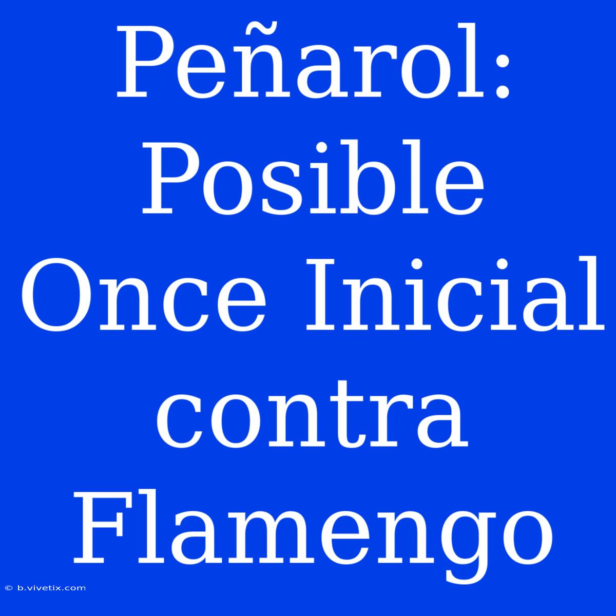 Peñarol: Posible Once Inicial Contra Flamengo