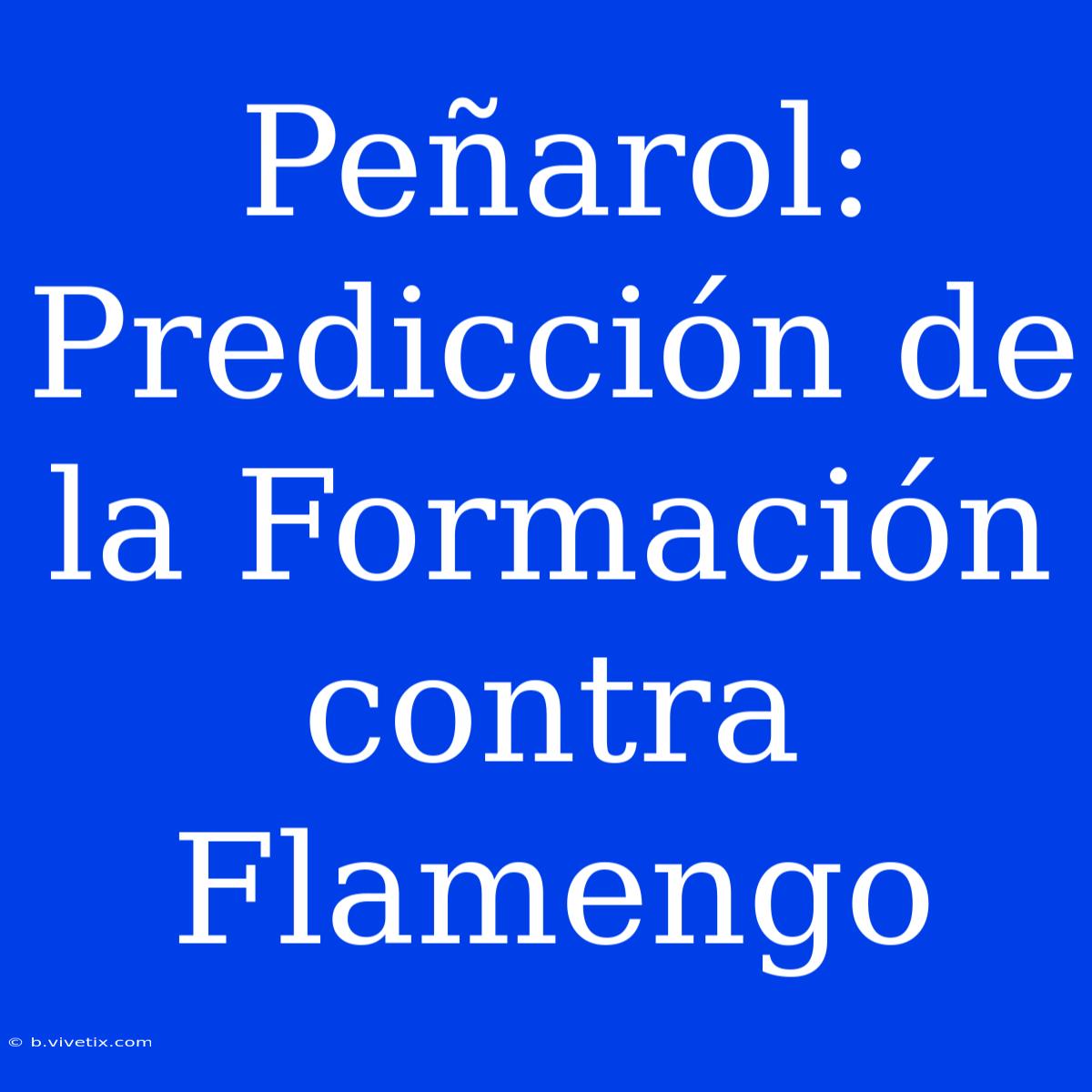 Peñarol: Predicción De La Formación Contra Flamengo