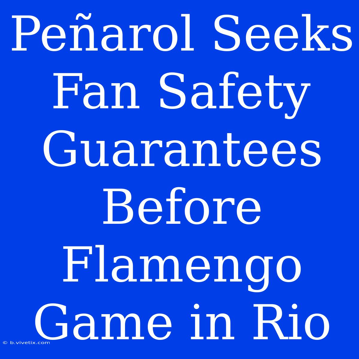 Peñarol Seeks Fan Safety Guarantees Before Flamengo Game In Rio 