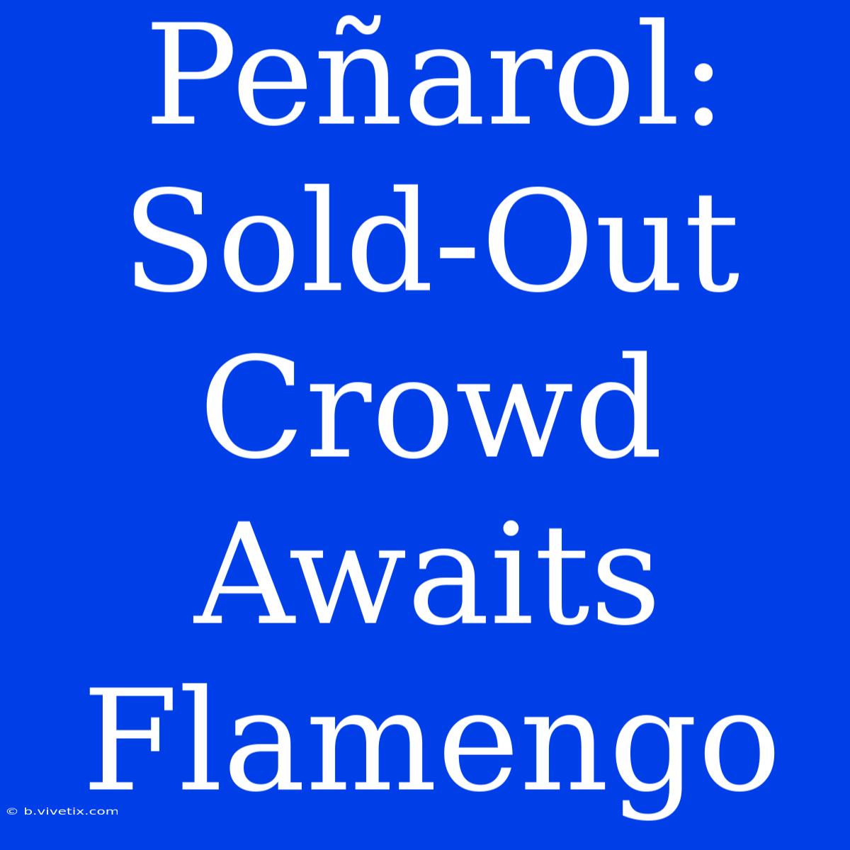 Peñarol:  Sold-Out Crowd Awaits Flamengo