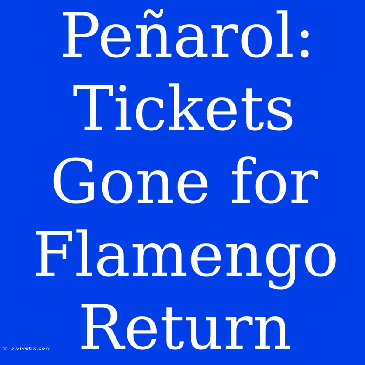 Peñarol: Tickets Gone For Flamengo Return