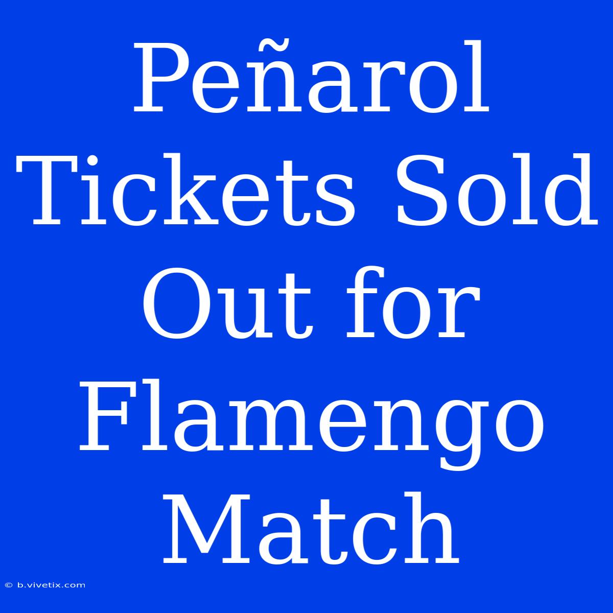 Peñarol Tickets Sold Out For Flamengo Match