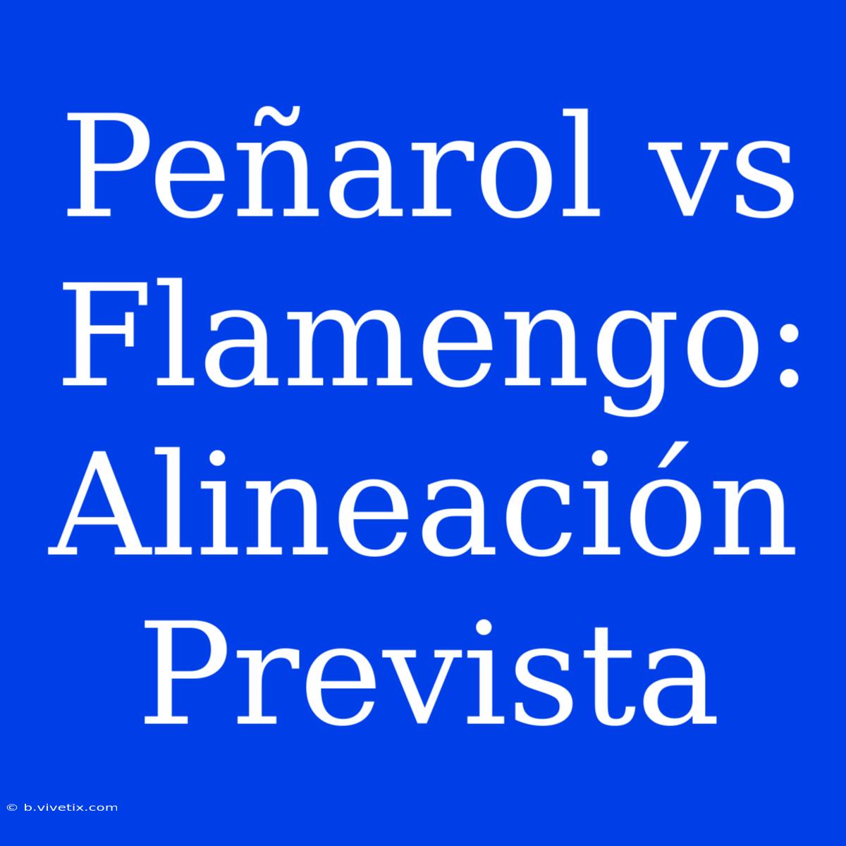 Peñarol Vs Flamengo: Alineación Prevista