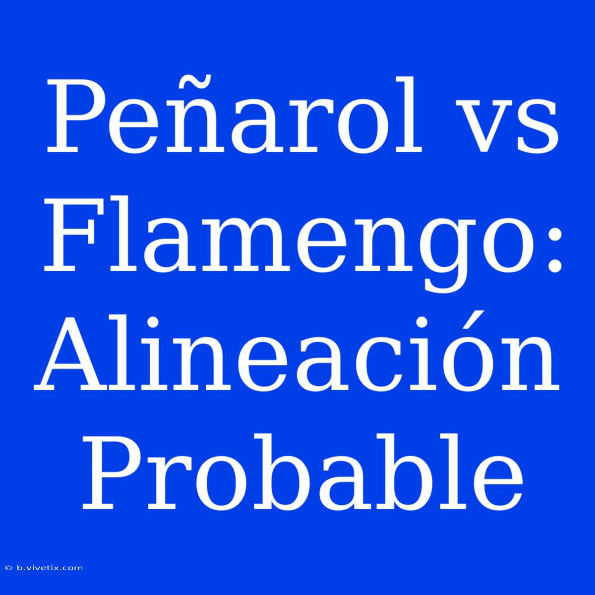 Peñarol Vs Flamengo: Alineación Probable