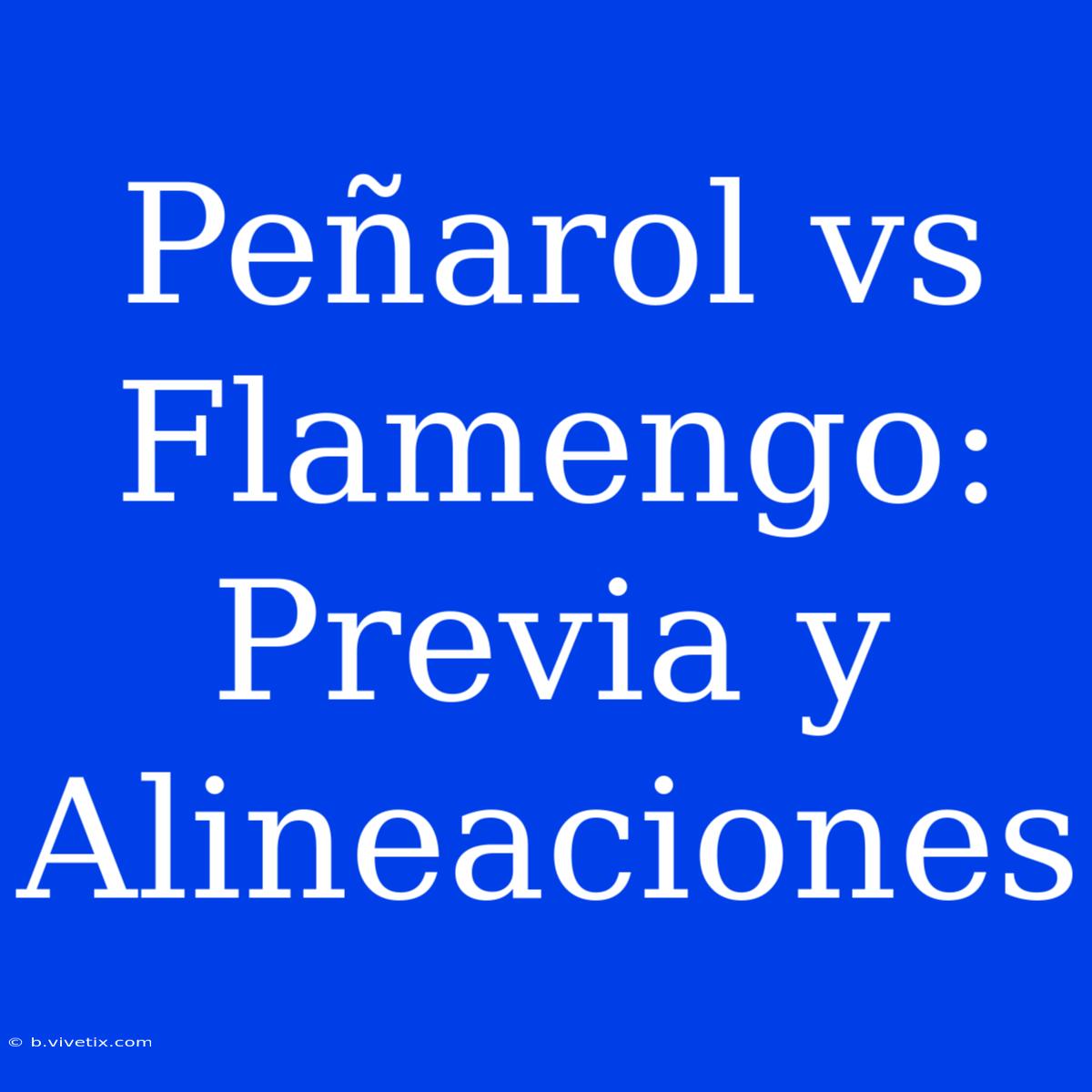 Peñarol Vs Flamengo: Previa Y Alineaciones