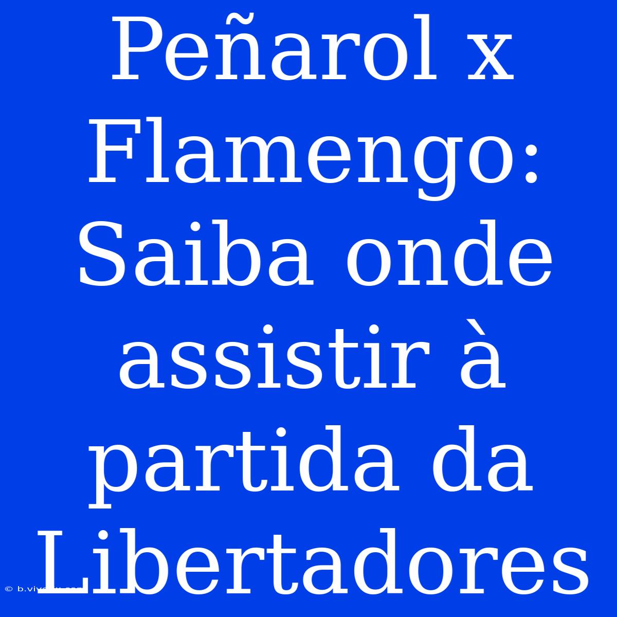 Peñarol X Flamengo: Saiba Onde Assistir À Partida Da Libertadores