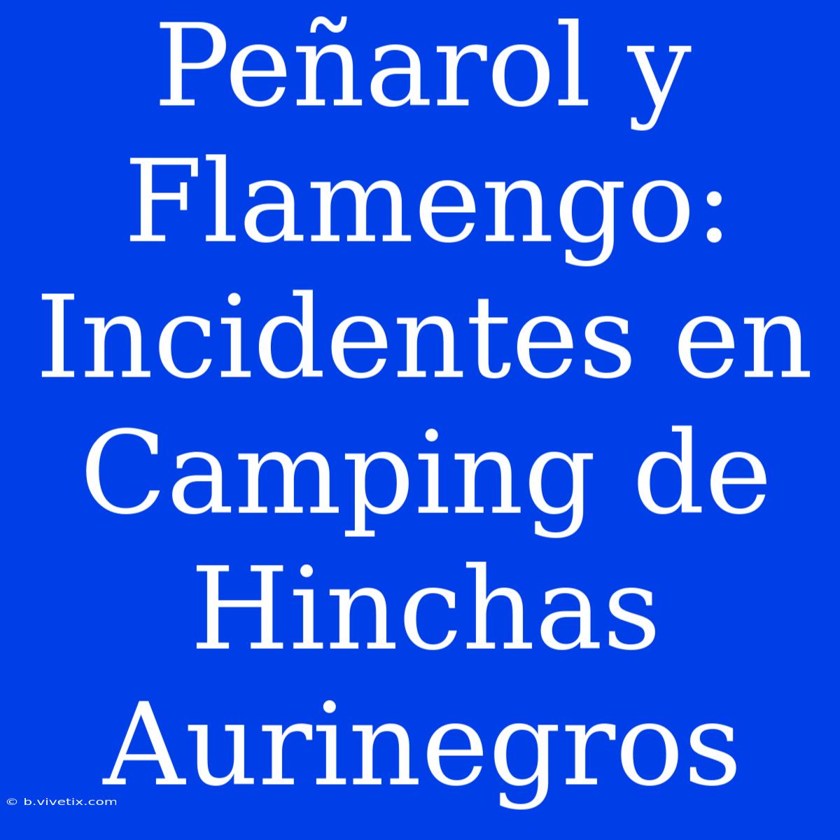 Peñarol Y Flamengo: Incidentes En Camping De Hinchas Aurinegros