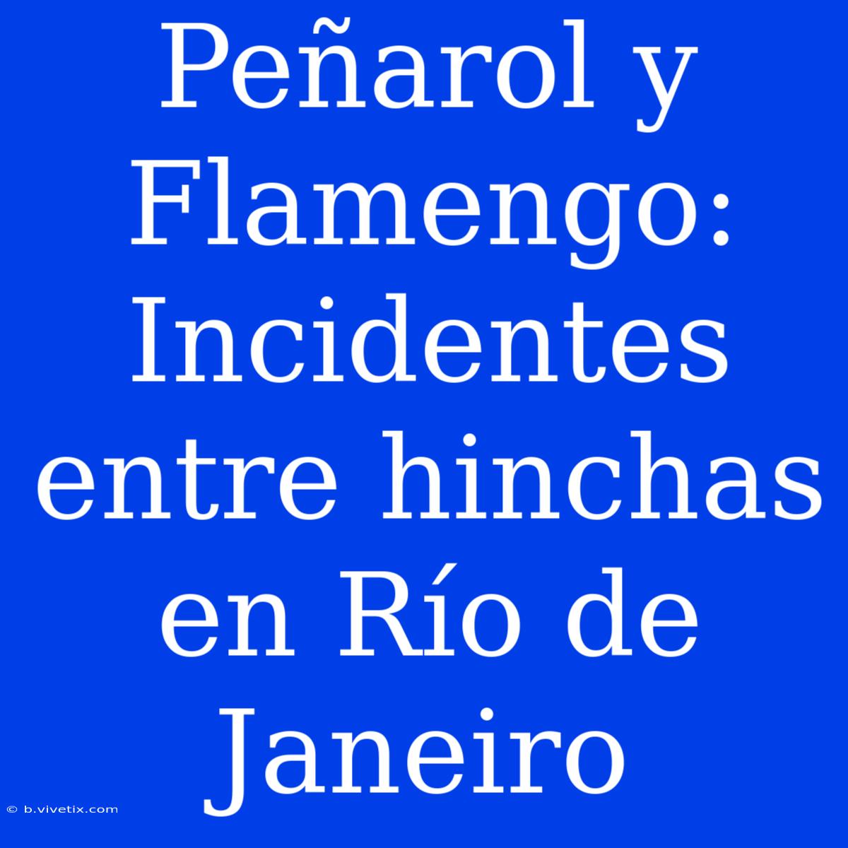 Peñarol Y Flamengo: Incidentes Entre Hinchas En Río De Janeiro