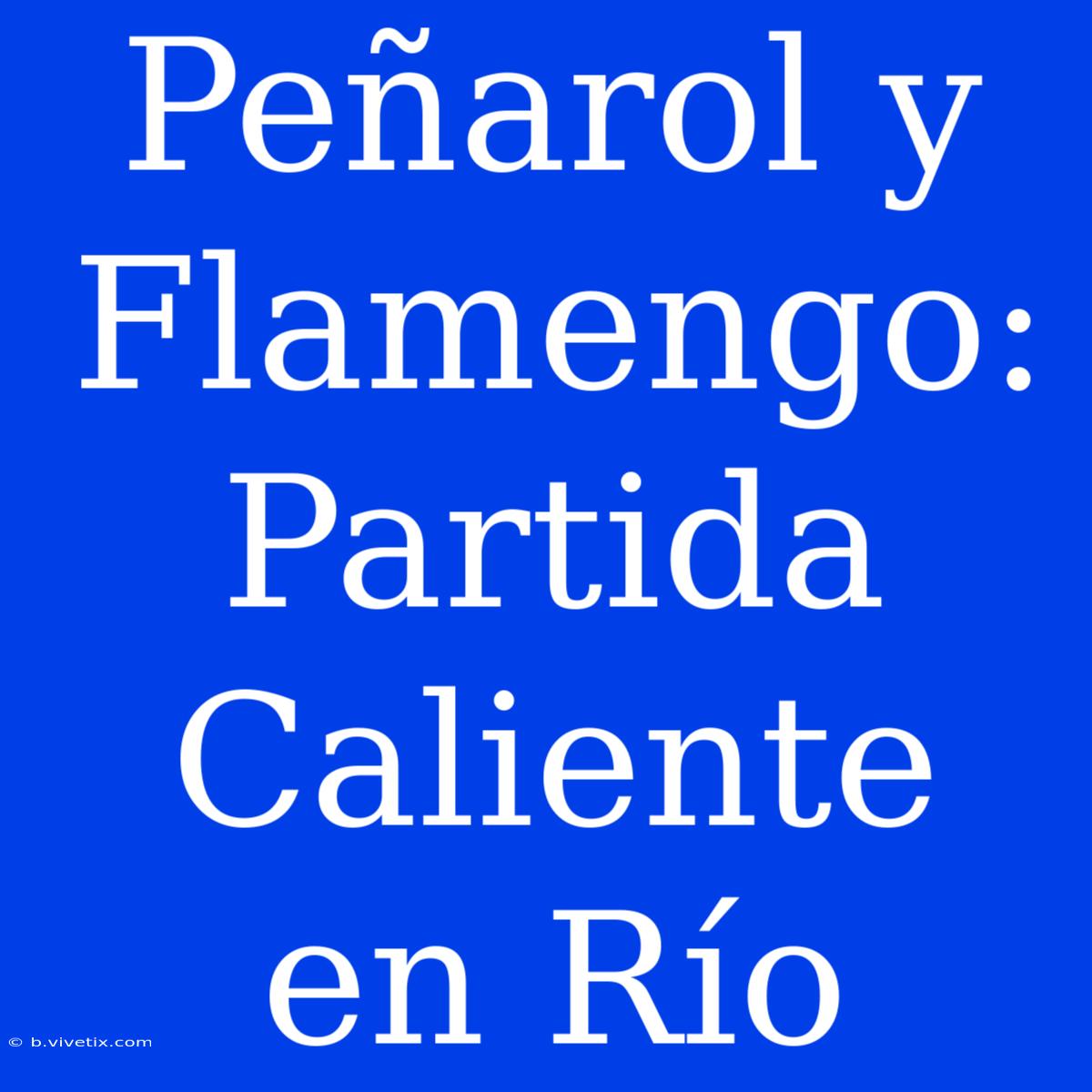 Peñarol Y Flamengo: Partida Caliente En Río