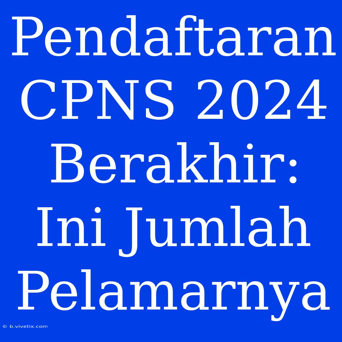 Pendaftaran CPNS 2024 Berakhir: Ini Jumlah Pelamarnya