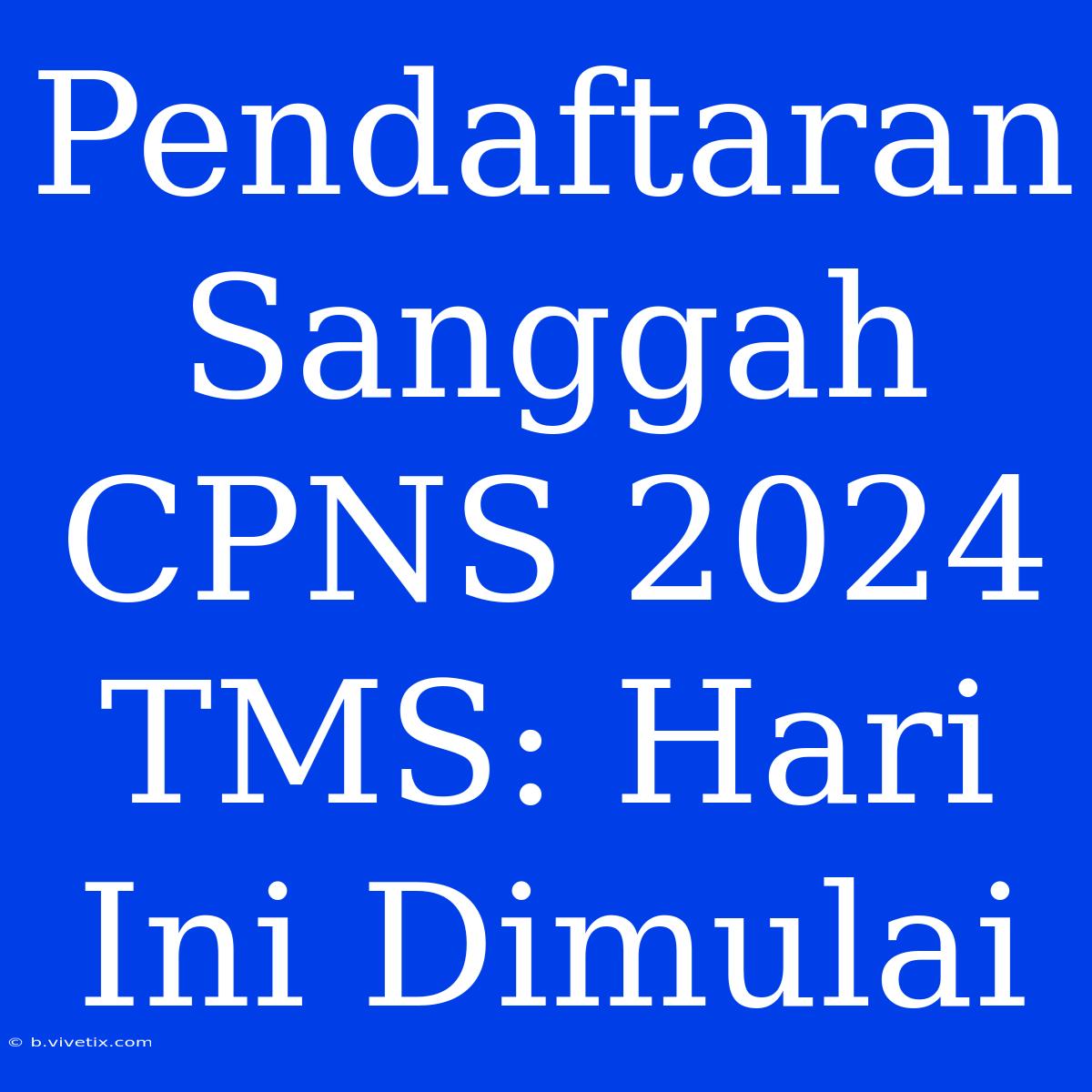 Pendaftaran Sanggah CPNS 2024 TMS: Hari Ini Dimulai