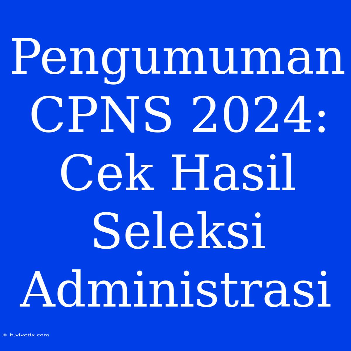 Pengumuman CPNS 2024: Cek Hasil Seleksi Administrasi