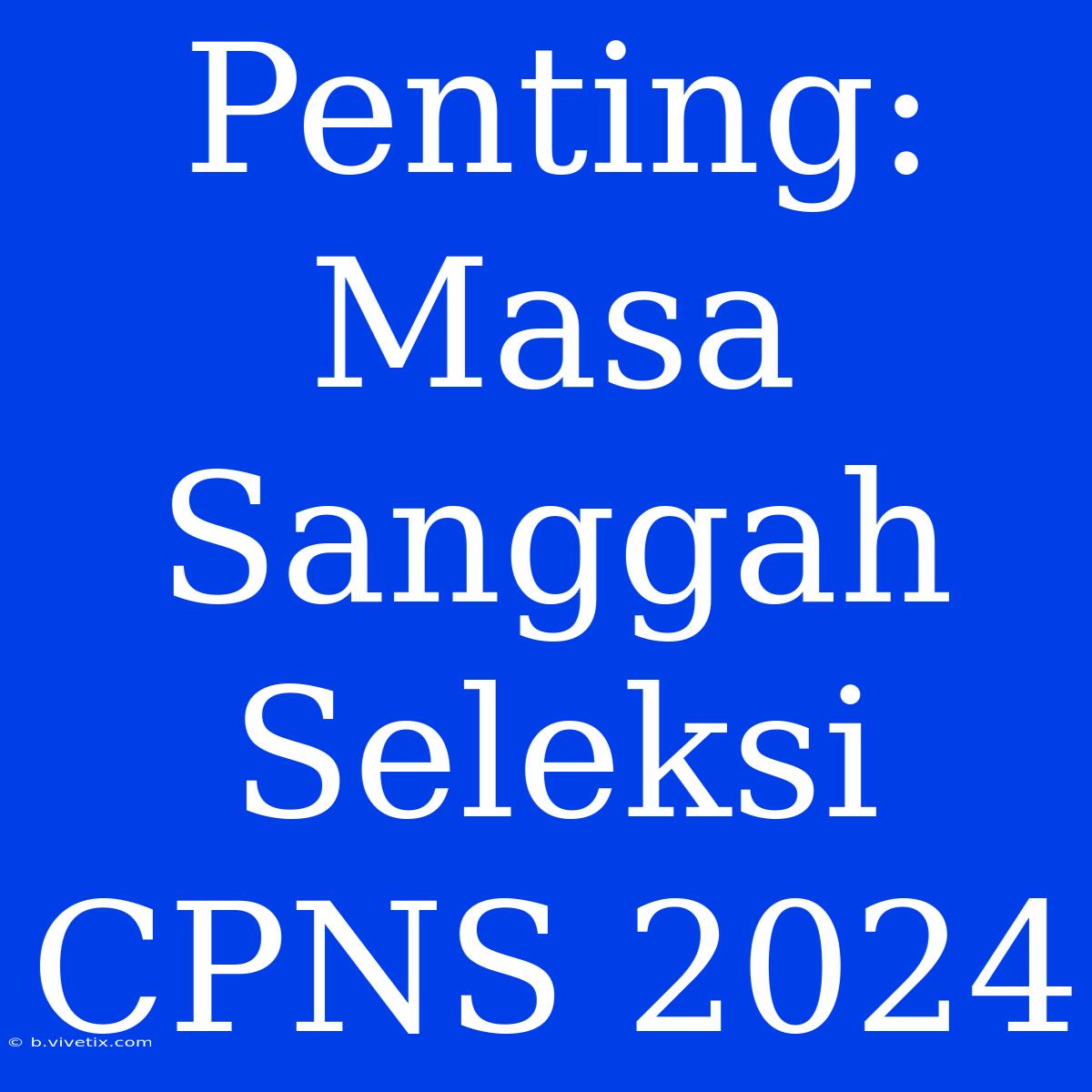 Penting: Masa Sanggah Seleksi CPNS 2024