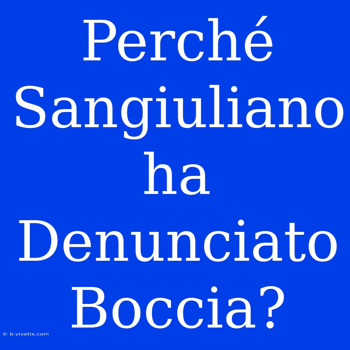 Perché Sangiuliano Ha Denunciato Boccia?