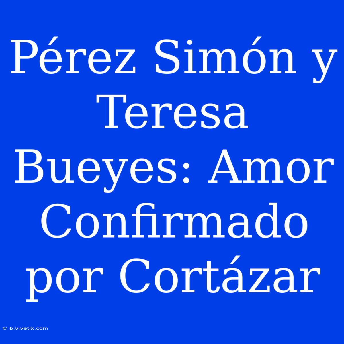 Pérez Simón Y Teresa Bueyes: Amor Confirmado Por Cortázar 