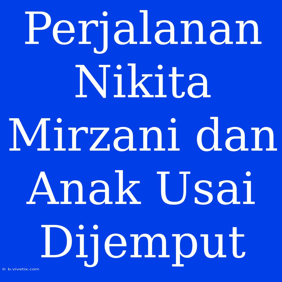 Perjalanan Nikita Mirzani Dan Anak Usai Dijemput