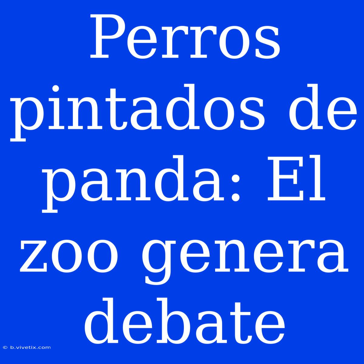 Perros Pintados De Panda: El Zoo Genera Debate