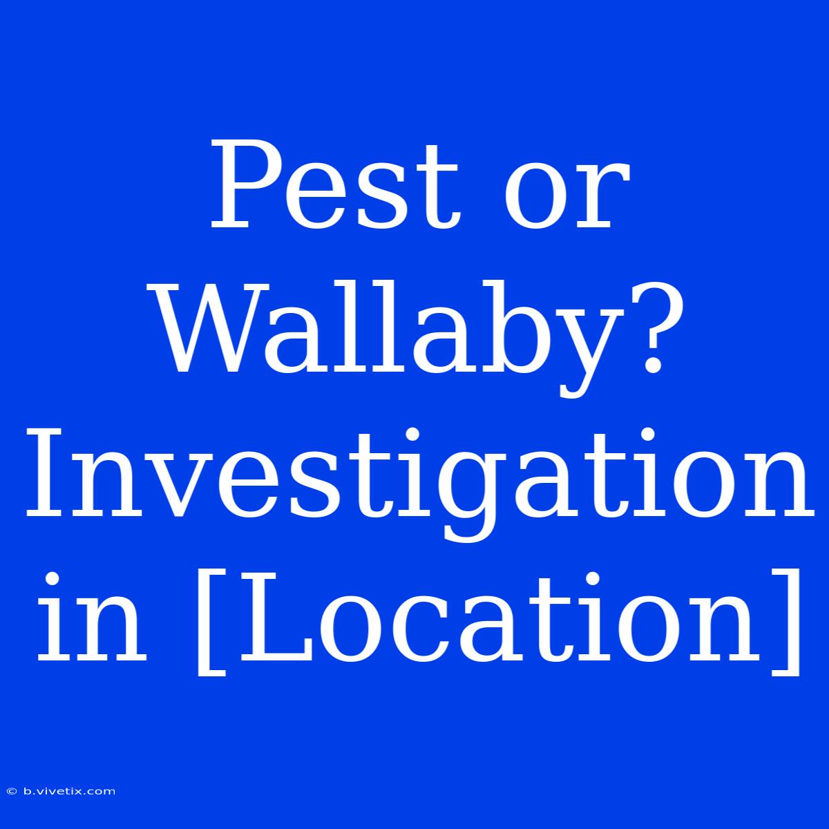 Pest Or Wallaby? Investigation In [Location]