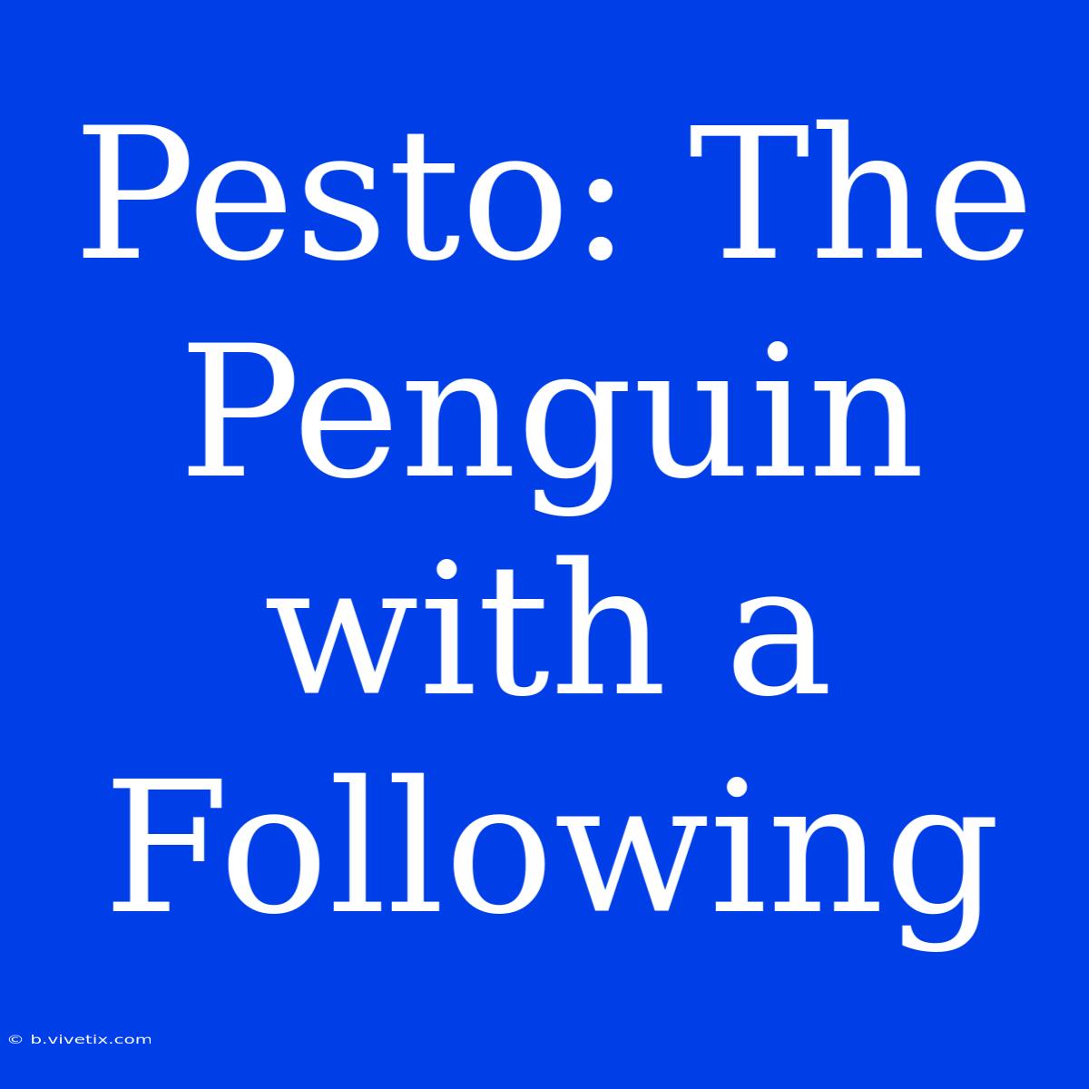 Pesto: The Penguin With A Following