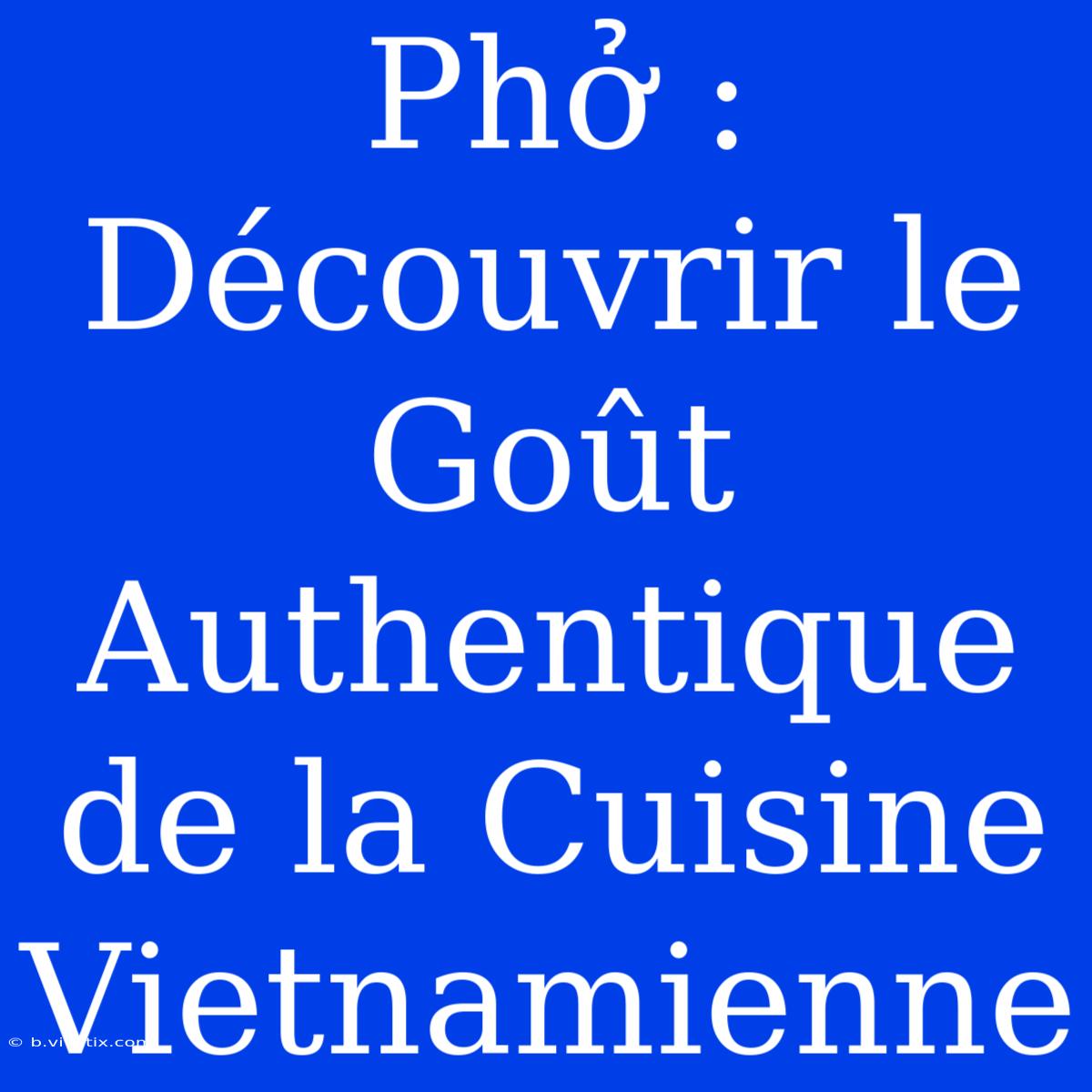 Phở : Découvrir Le Goût Authentique De La Cuisine Vietnamienne