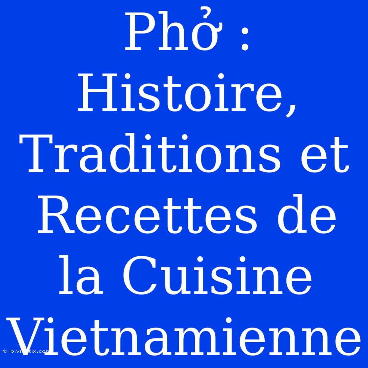 Phở : Histoire, Traditions Et Recettes De La Cuisine Vietnamienne 