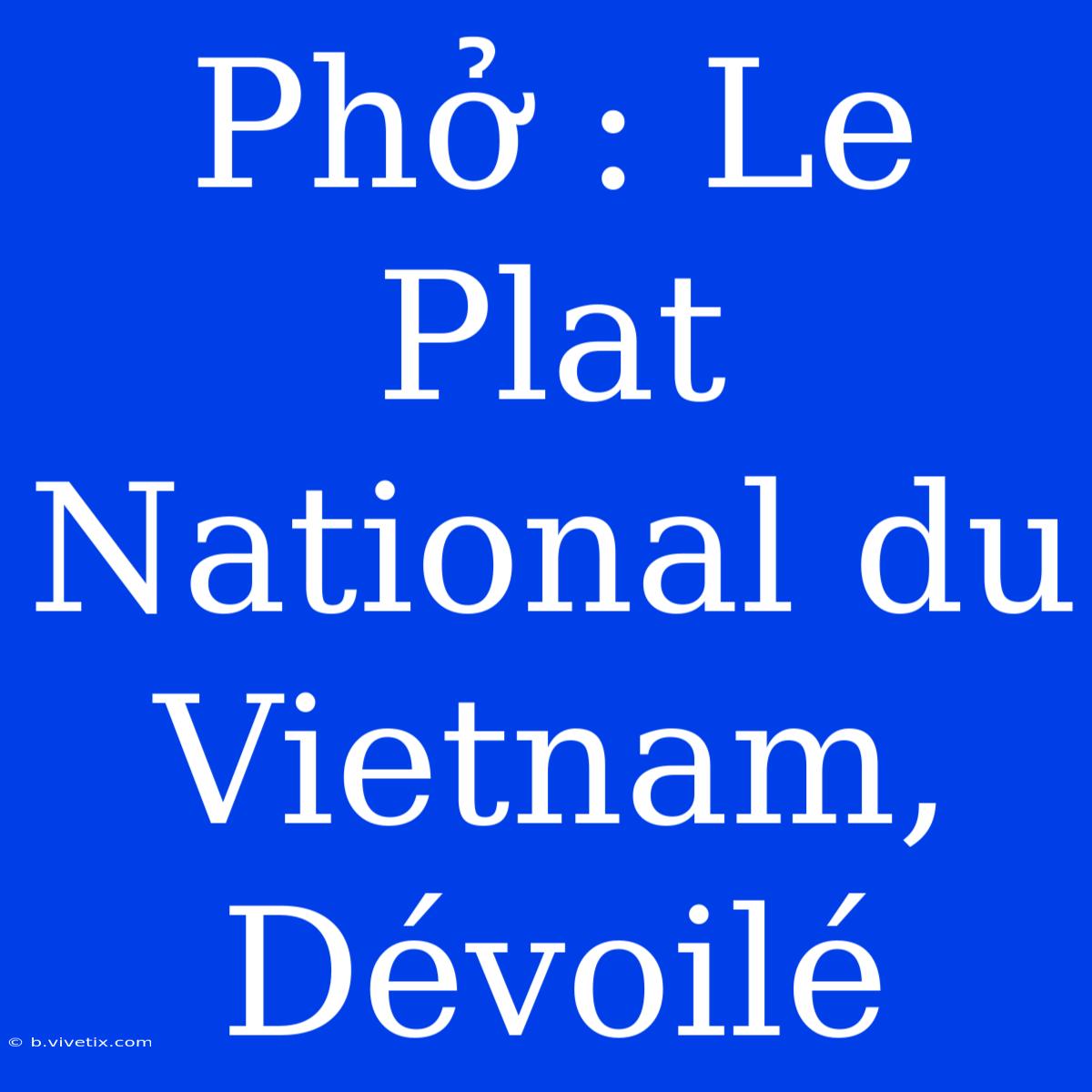 Phở : Le Plat National Du Vietnam, Dévoilé