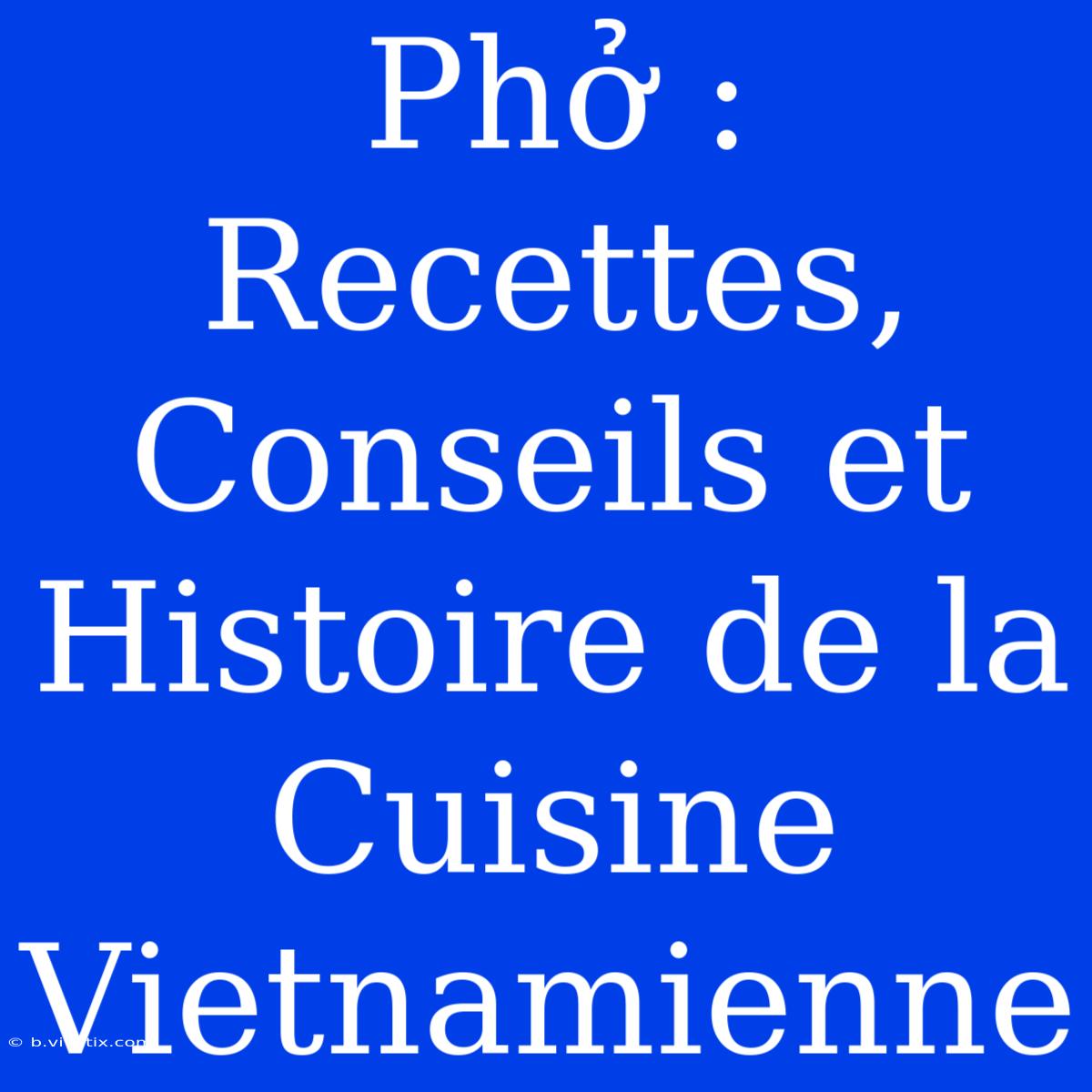 Phở : Recettes, Conseils Et Histoire De La Cuisine Vietnamienne