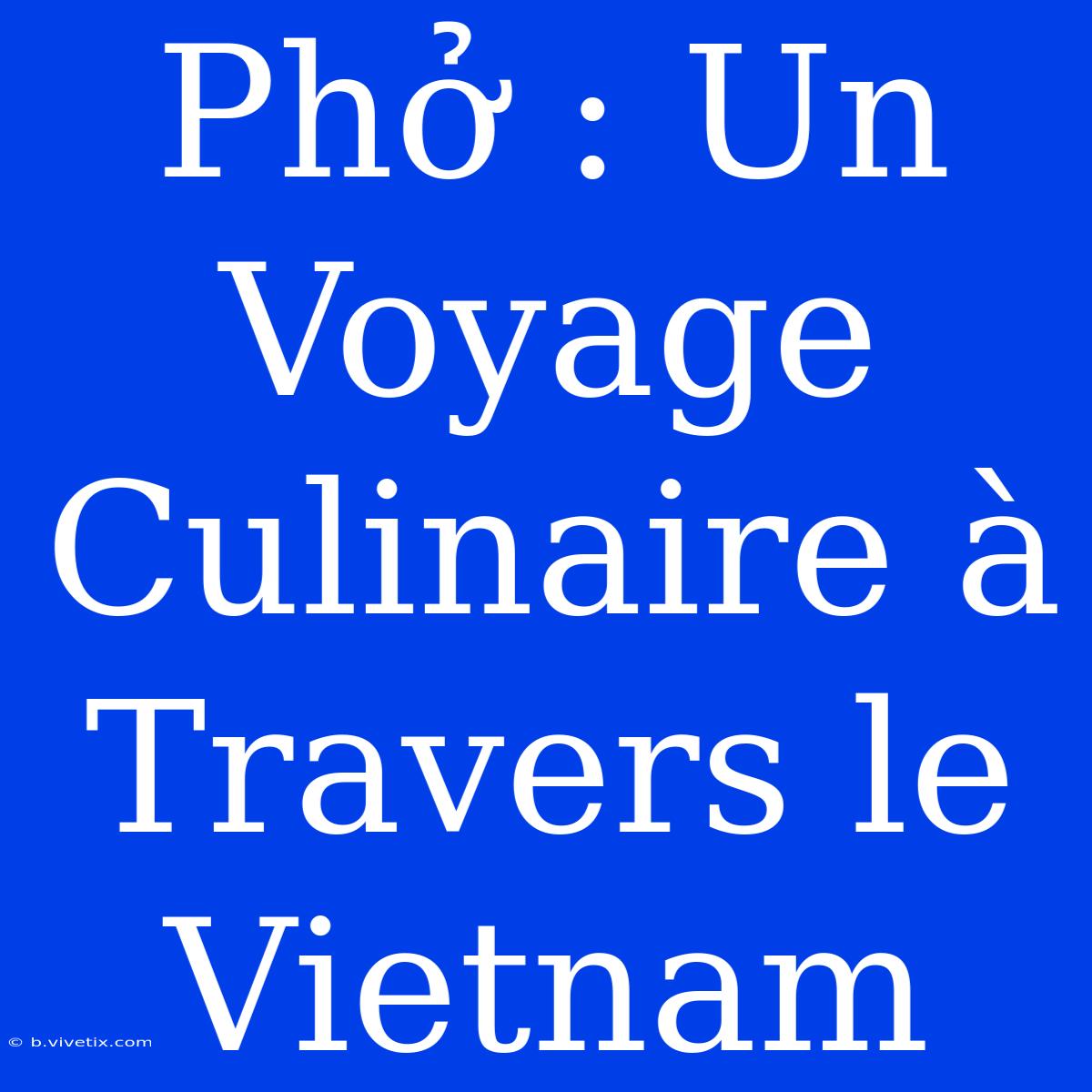 Phở : Un Voyage Culinaire À Travers Le Vietnam