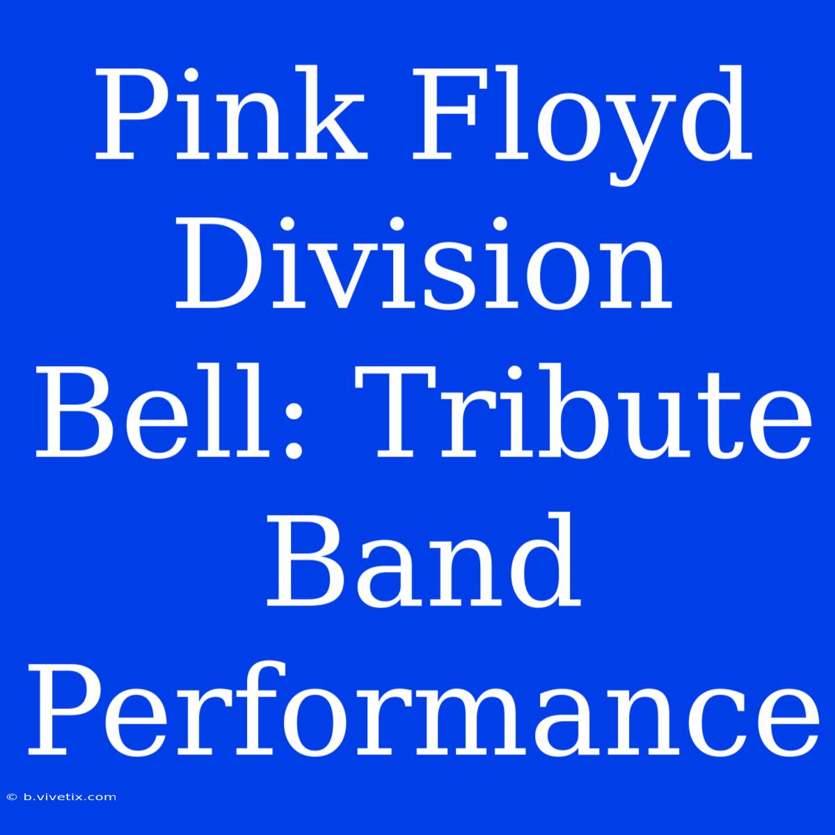 Pink Floyd Division Bell: Tribute Band Performance