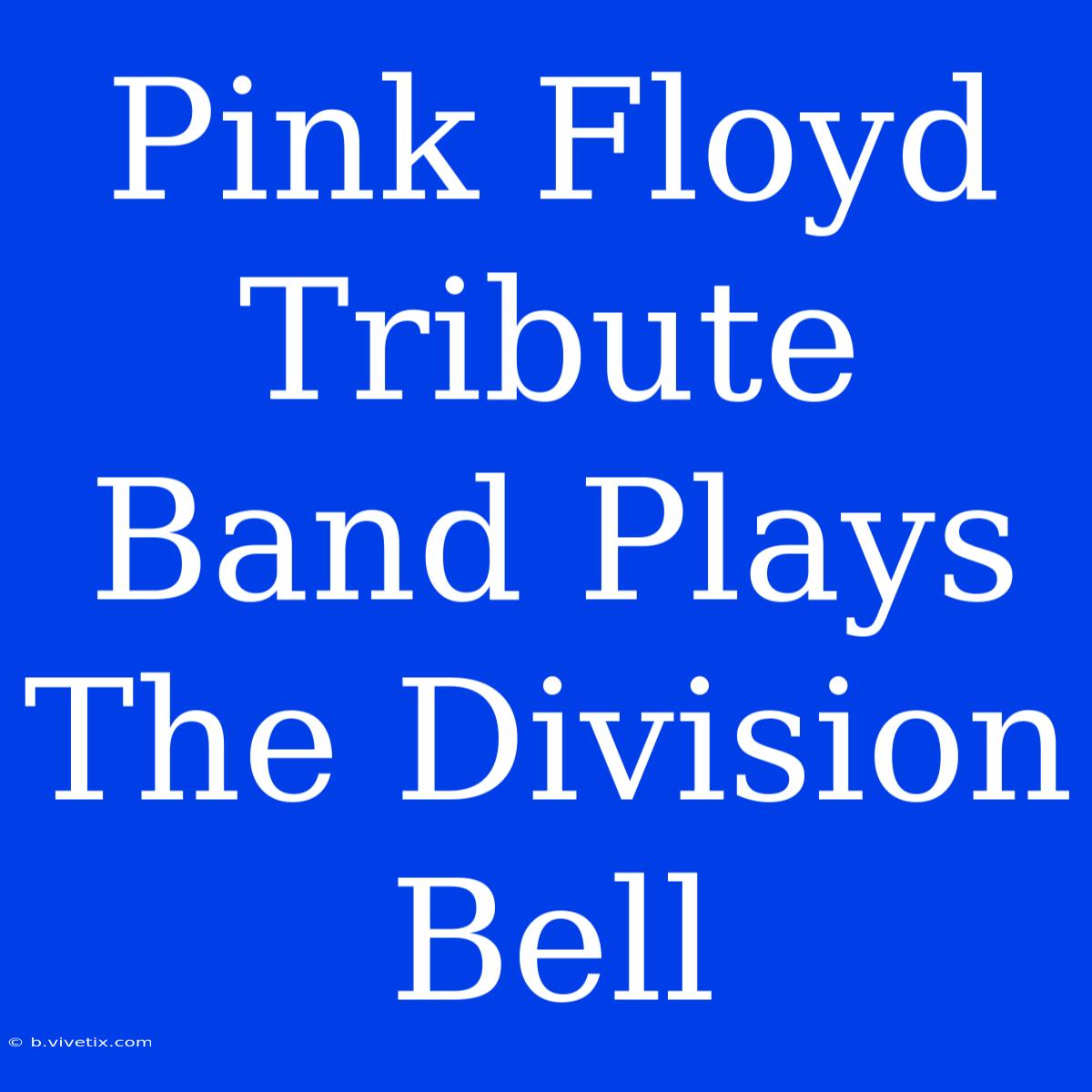 Pink Floyd Tribute Band Plays The Division Bell