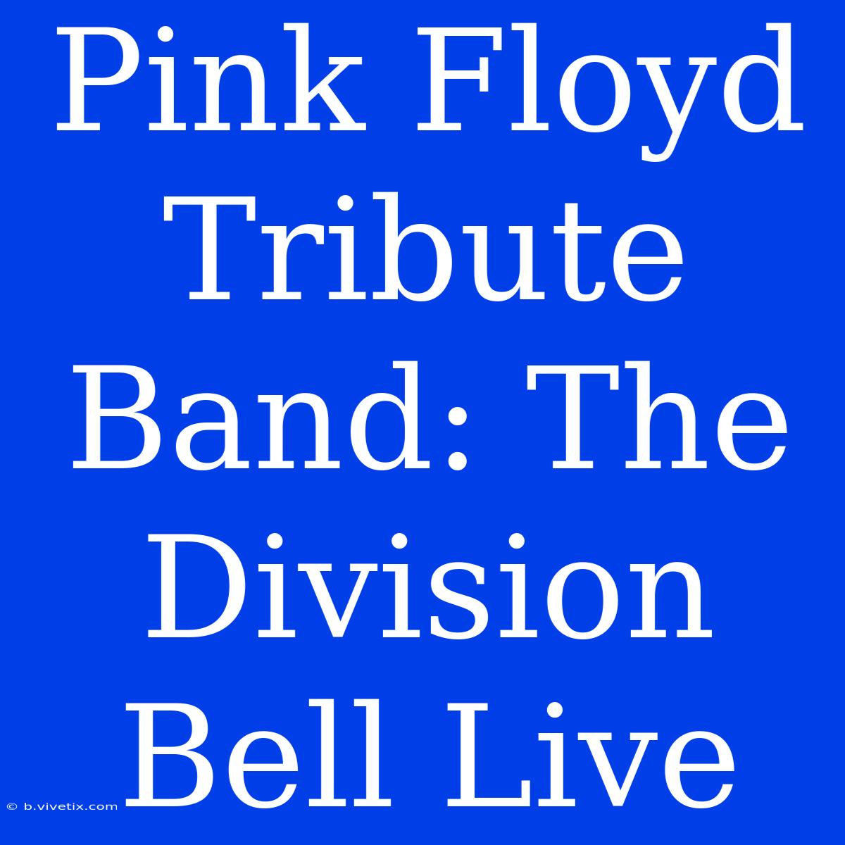 Pink Floyd Tribute Band: The Division Bell Live