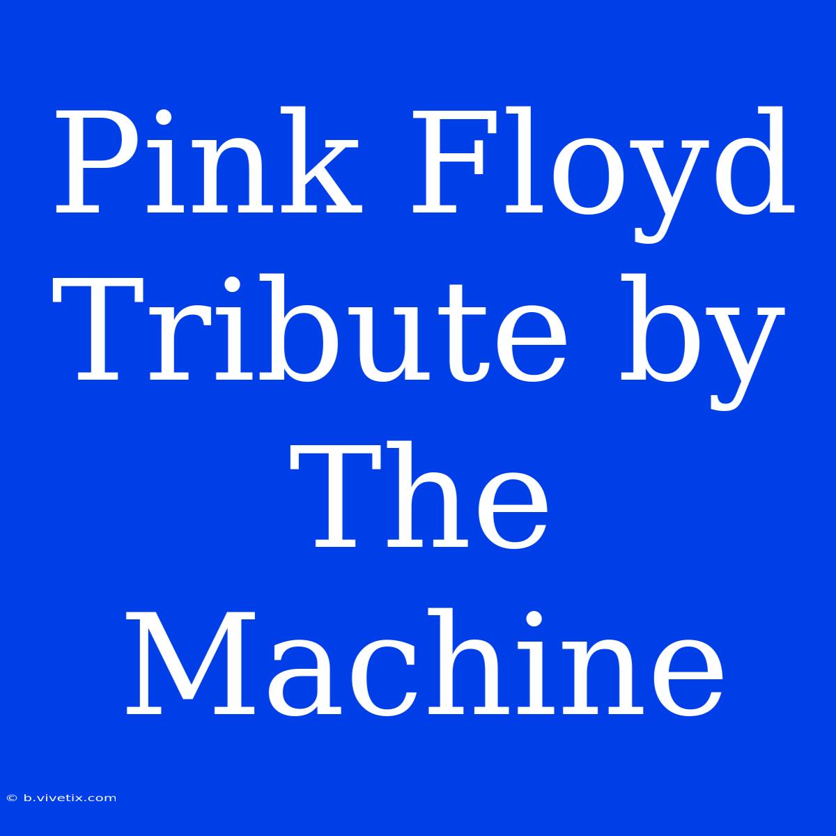 Pink Floyd Tribute By The Machine