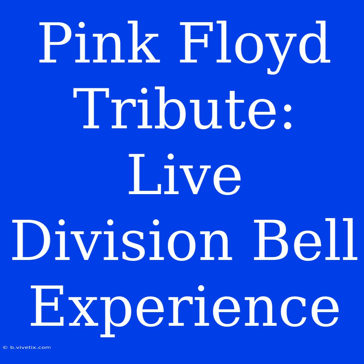 Pink Floyd Tribute: Live Division Bell Experience