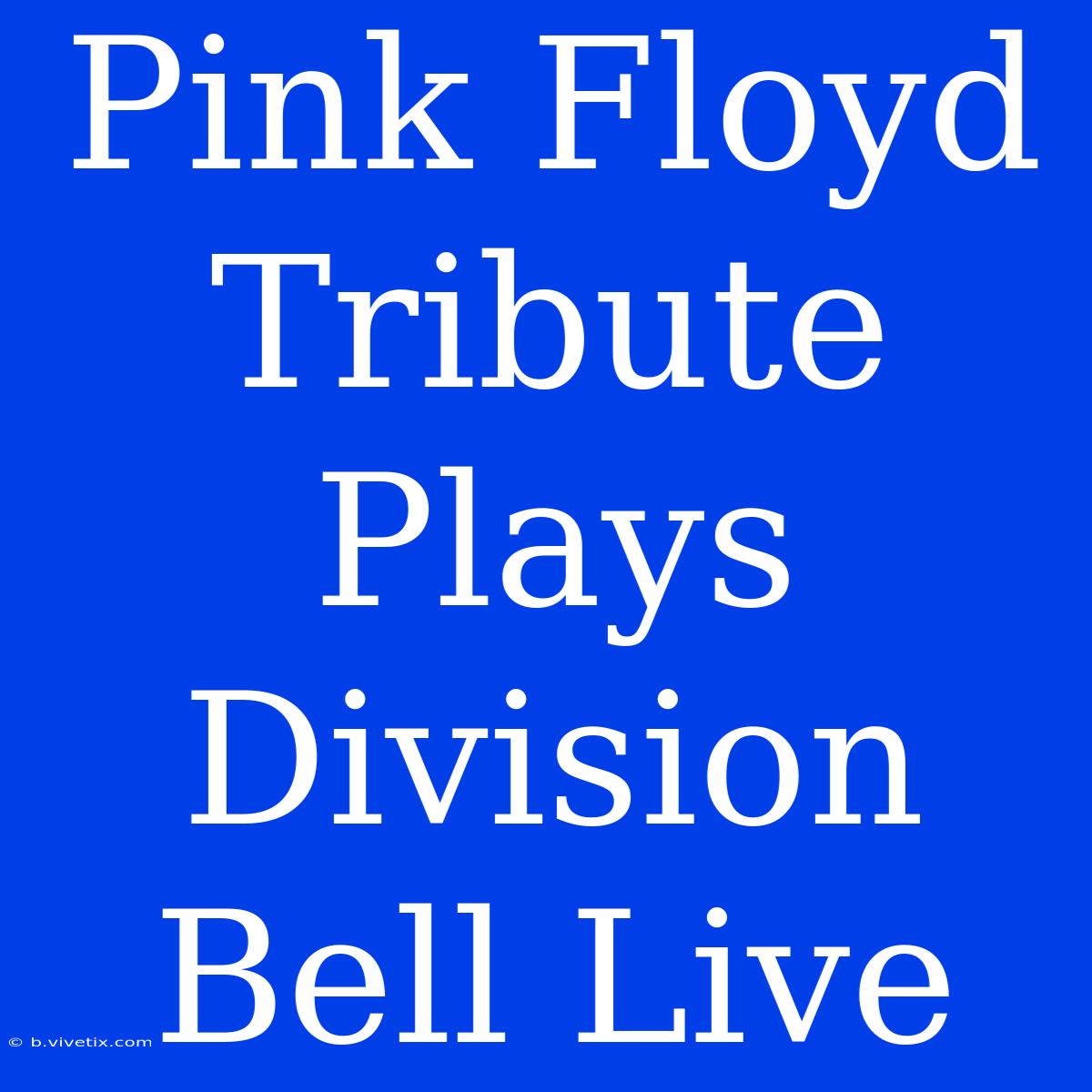 Pink Floyd Tribute Plays Division Bell Live 