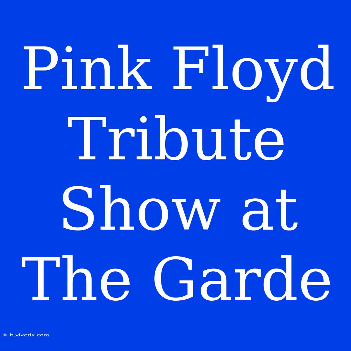 Pink Floyd Tribute Show At The Garde