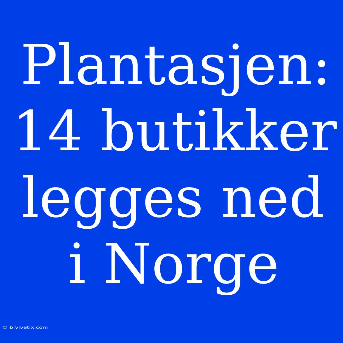 Plantasjen: 14 Butikker Legges Ned I Norge 