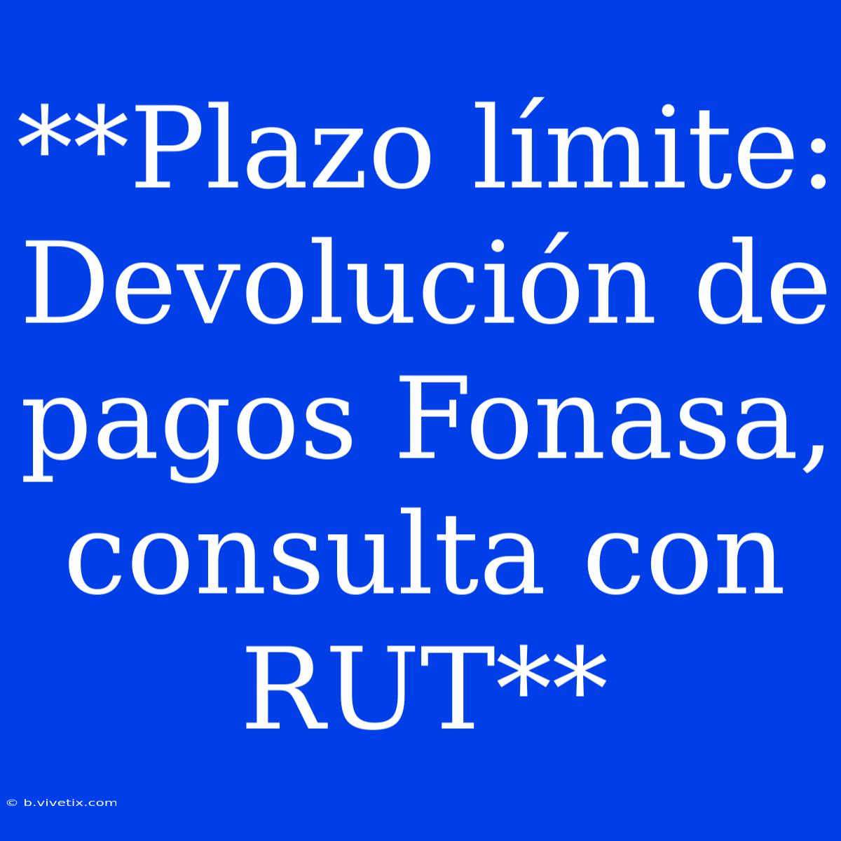 **Plazo Límite: Devolución De Pagos Fonasa, Consulta Con RUT**