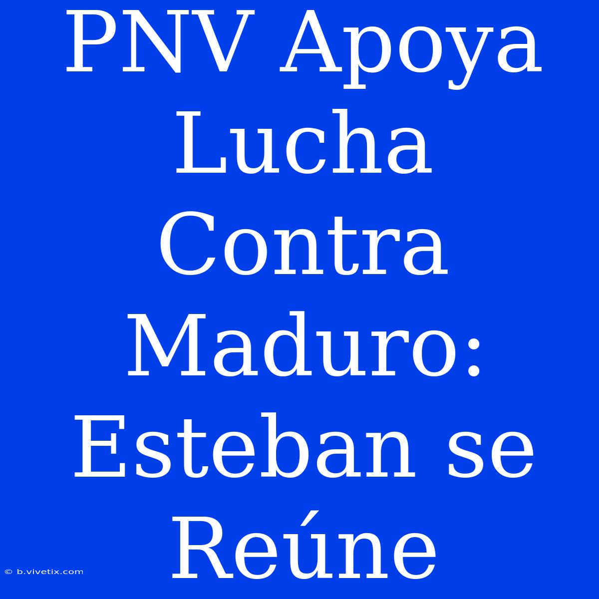 PNV Apoya Lucha Contra Maduro: Esteban Se Reúne