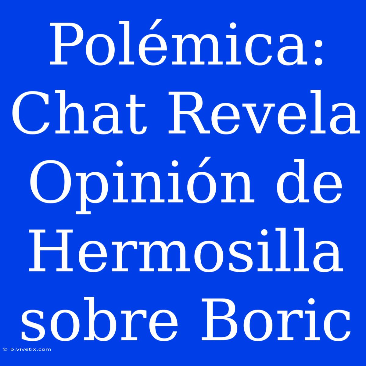 Polémica: Chat Revela Opinión De Hermosilla Sobre Boric 