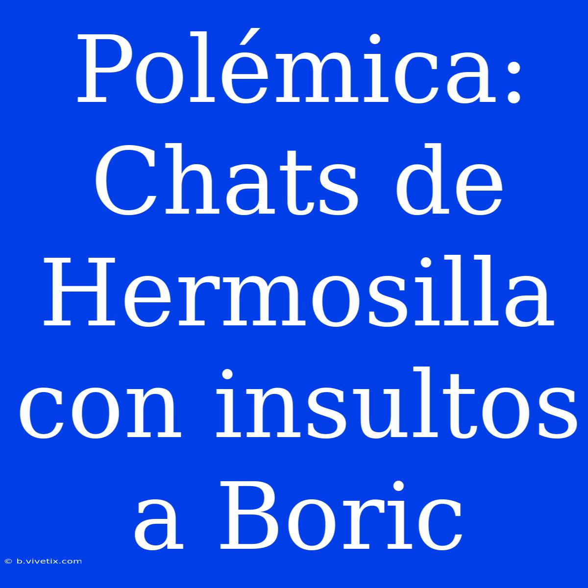 Polémica: Chats De Hermosilla Con Insultos A Boric