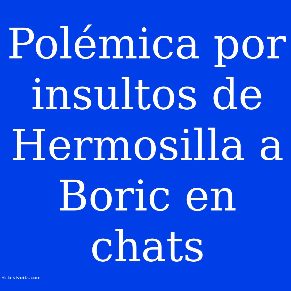 Polémica Por Insultos De Hermosilla A Boric En Chats 