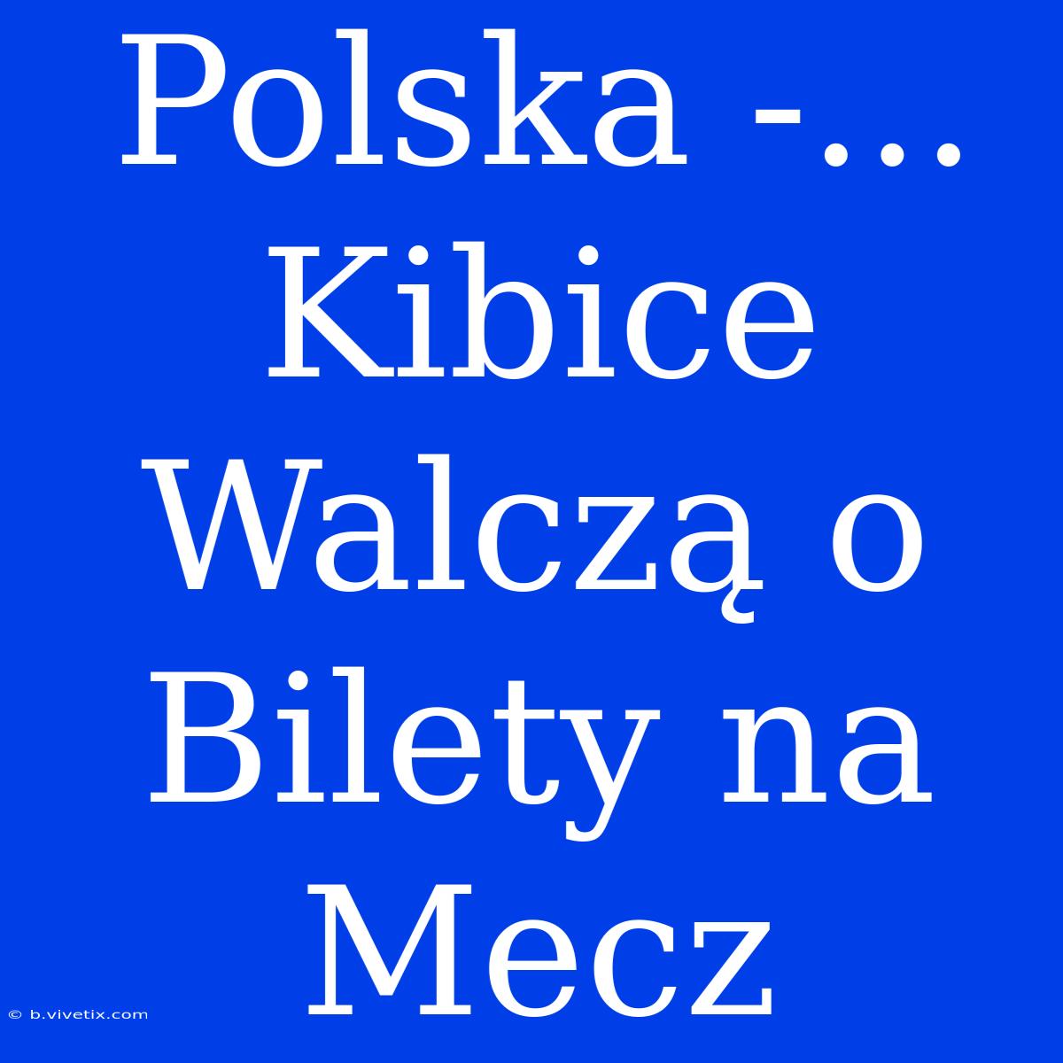 Polska -... Kibice Walczą O Bilety Na Mecz