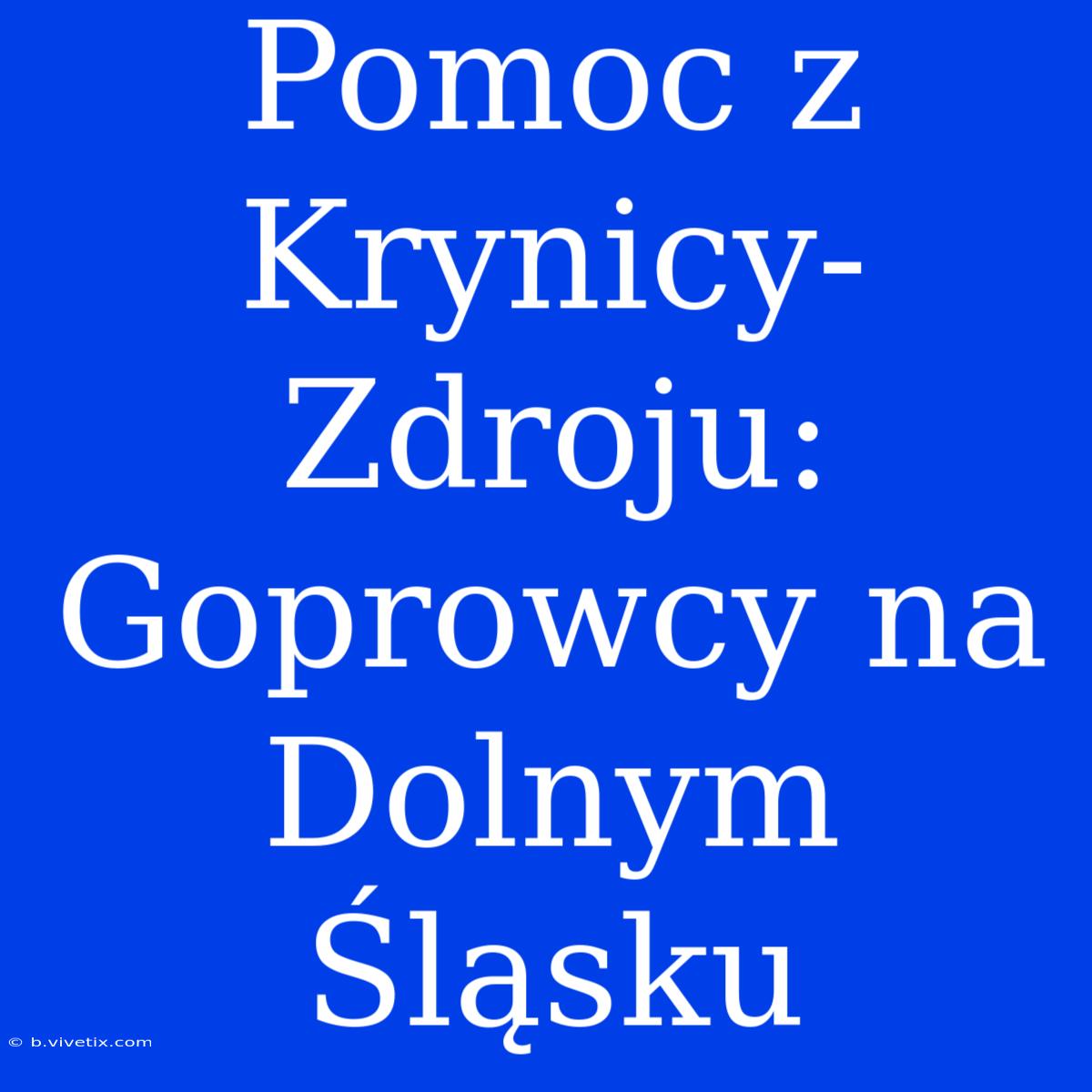 Pomoc Z Krynicy-Zdroju: Goprowcy Na Dolnym Śląsku