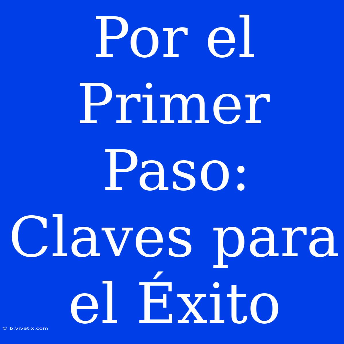 Por El Primer Paso: Claves Para El Éxito