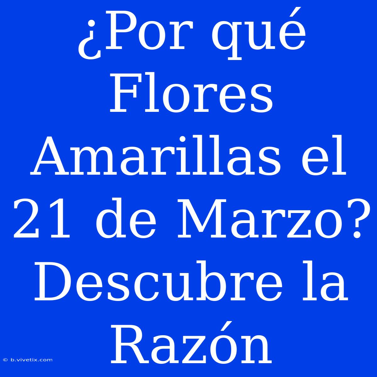 ¿Por Qué Flores Amarillas El 21 De Marzo? Descubre La Razón