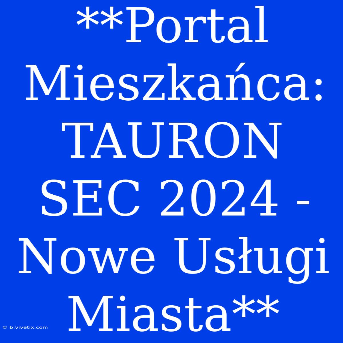 **Portal Mieszkańca: TAURON SEC 2024 - Nowe Usługi Miasta**