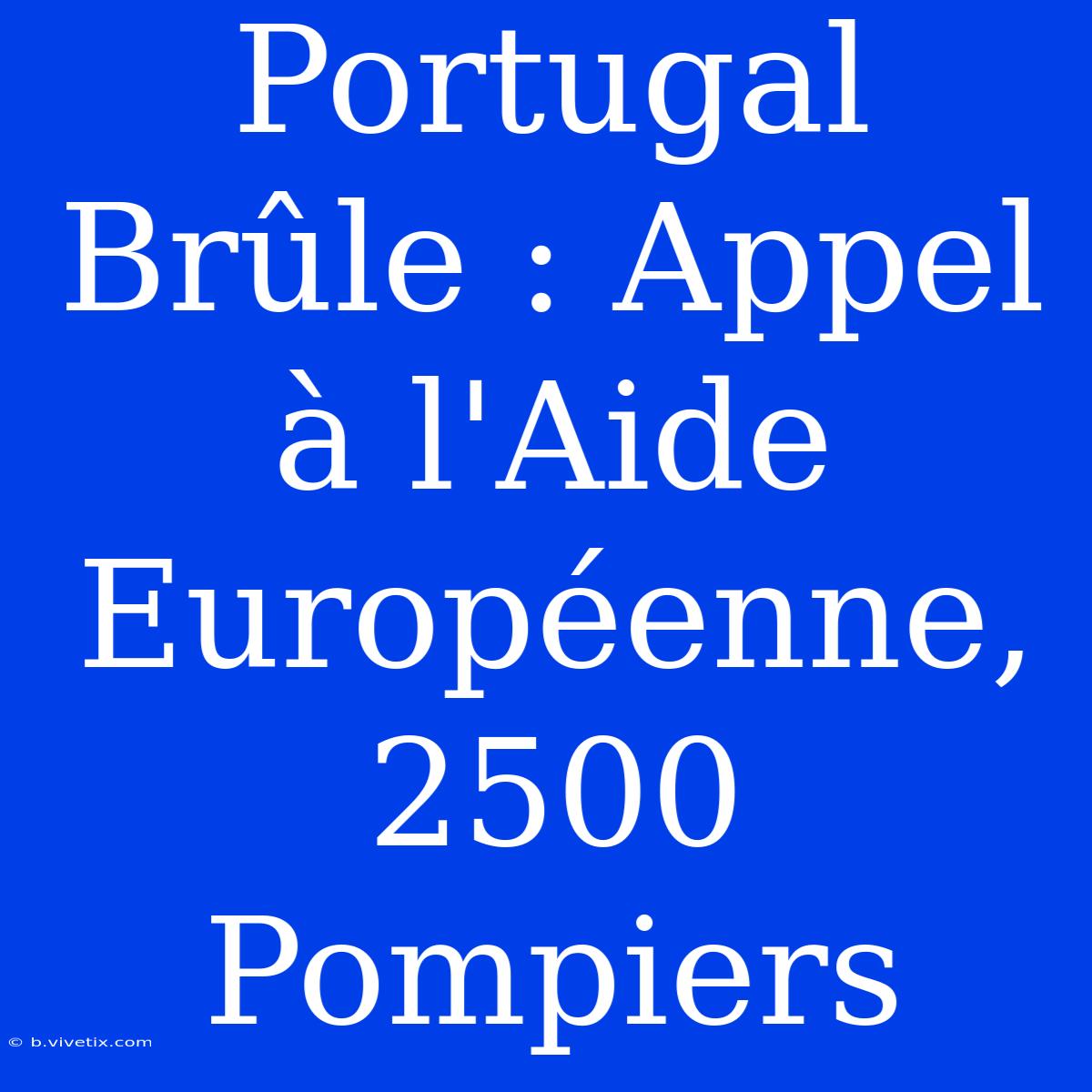 Portugal Brûle : Appel À L'Aide Européenne, 2500 Pompiers