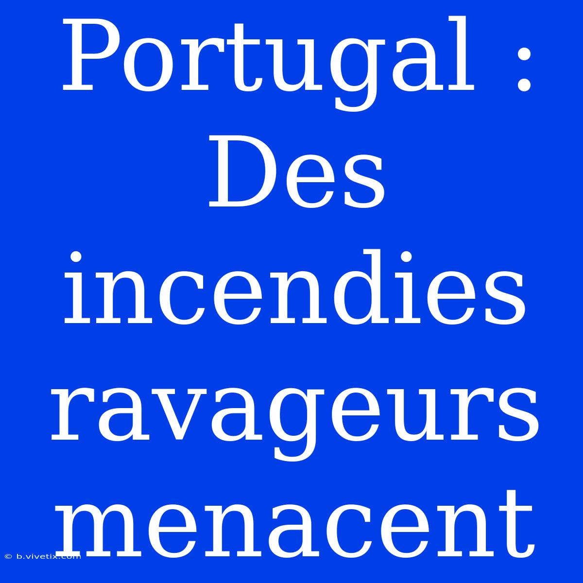 Portugal : Des Incendies Ravageurs Menacent